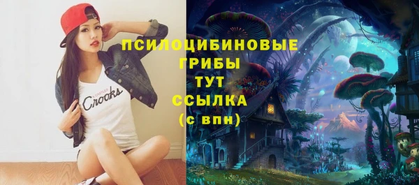 ECSTASY Армянск